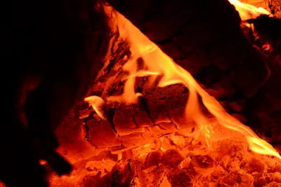 DSC_0127 (Large).JPG